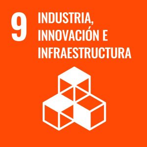 Sustainable_Development_Goal-es-09